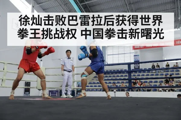 徐灿击败巴雷拉后获得世界拳王挑战权 中国拳击新曙光 - jiuyou game